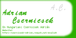 adrian csernicsek business card